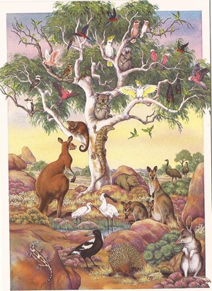 Karyn's postcard of Aussie wildlife