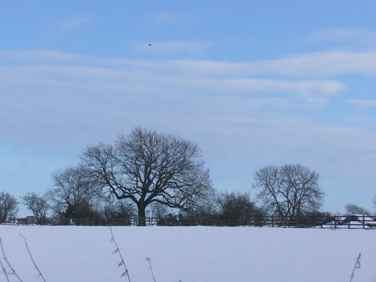 The much loved West House in the snow