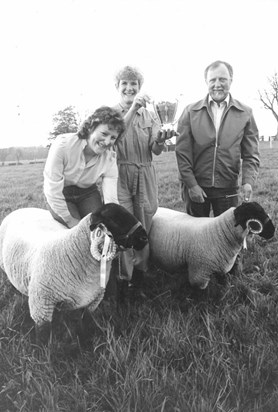 Prize Winning Sheep