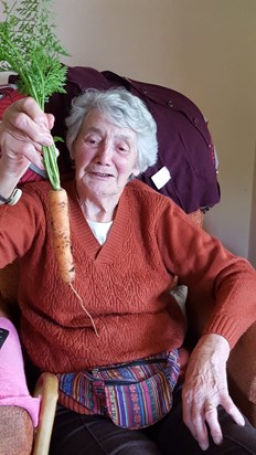 A very large home grown carrot 🤣🤣