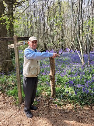 Dad Bluebells