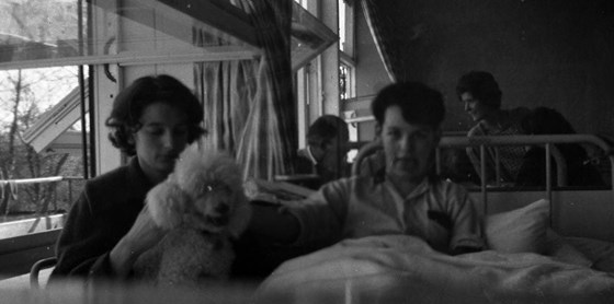 STEPHEN WITH MAUREEN & POOCH, MARLBOROUGH HOSPITAL 1961