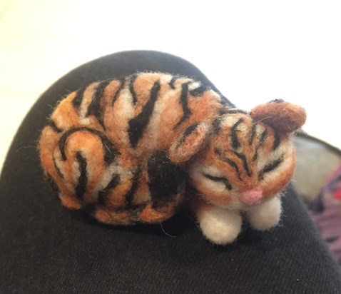Tiger cat that sits with Camellia now, as she wanted to have a little tiger cat of her own x