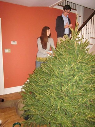 Marco and Lucy bought an enormous tree for our house. Marco is under it. 