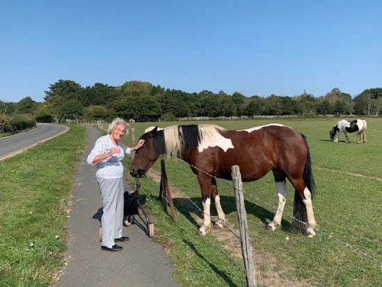 Mum with her beloved horses