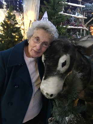 A donkey at Christmas