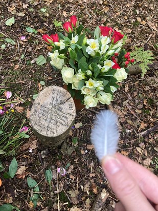Visiting grandad today then a perfect white feather was right next to his post all on its own. Defiantly Grandad sending a sign to show he was with us.  