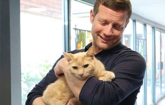 Dermot O'Leary with St Helena Hospice cat Paddy