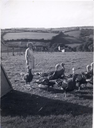 Muxeries Farm, Witheridge 1954