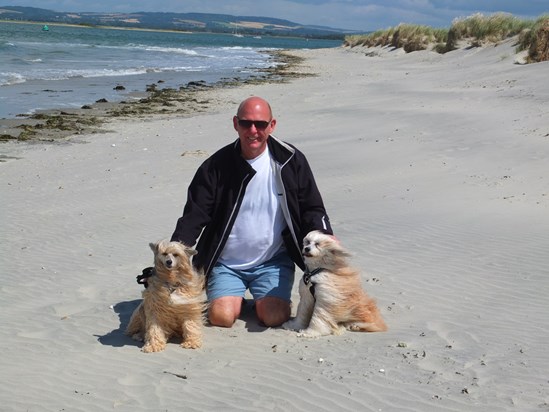 On the beach at West Wittering with Archie and Golly