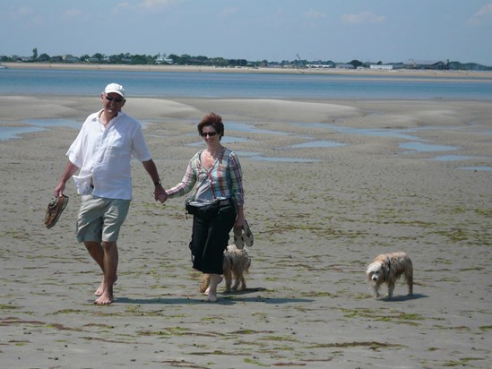 West Wittering Beach - another fab day out
