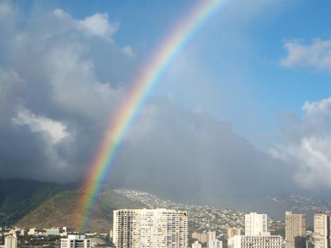 Hawaiin Rainbow