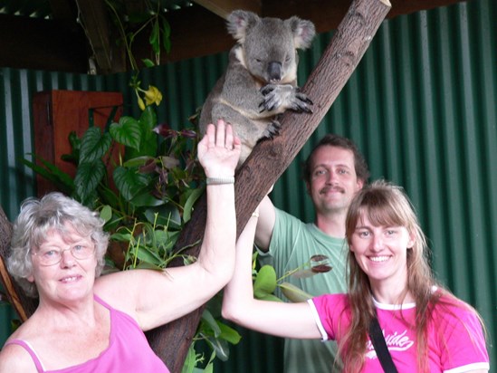 The 3 Musketeers and Mums favourite Koala Bear