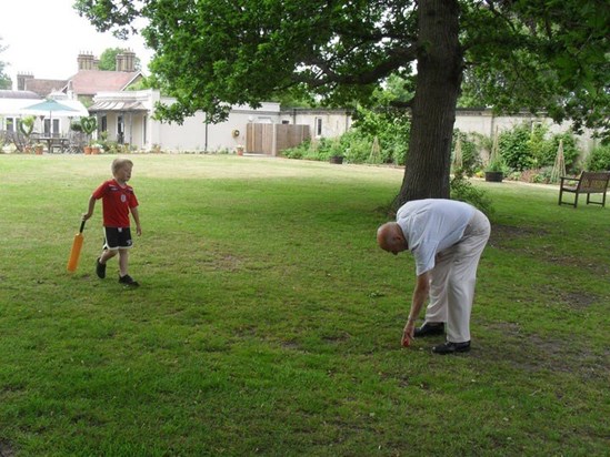 cricket on the Albert Cottage Lawn 