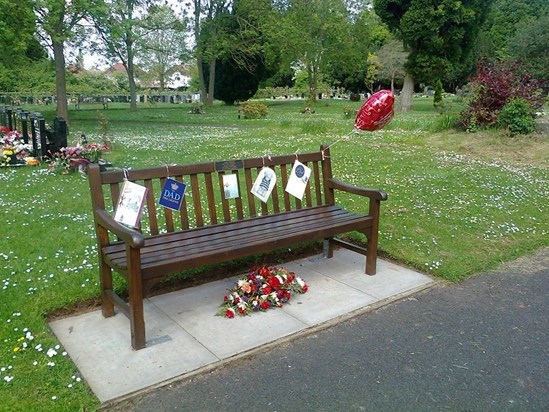 Dad's bench with cards for his 74th birthday 