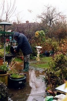 John the bird feeder in the rain!