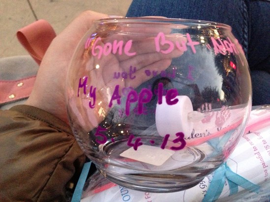 The candle for Apple,  "Gone But Not Forgotten Vigil" on October 15th 2013