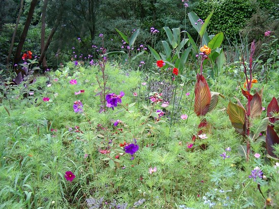 Fairy Garden ~ taken a Knoll Gardens near Ferndown