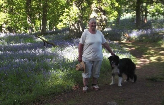 At Kinclaven Bluebell Wood, Perthshire