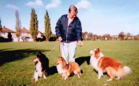 Alan Walking the Dogs: Barney, Buttons and Bandit 