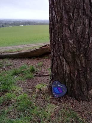 Here's to Sarah, who taught me that crocs can be worn with socks!  Who knew their versatility?  Placed at Faringdon Folly, Oxfordshire, in memory of a lovely friend.  Lesley Archibald x