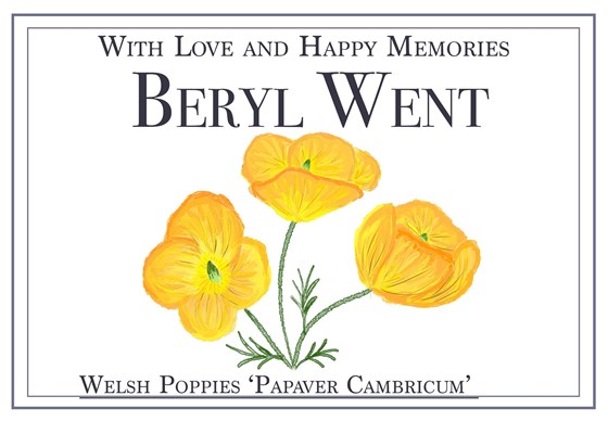 Welsh poppy seeds copy (002)