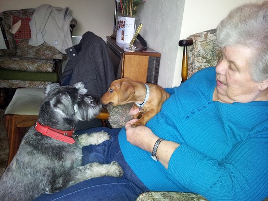 Tia meeting ollie for the first time, mum loved their dog.
