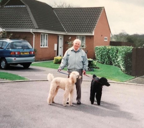 Dad and the dogs