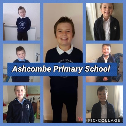 Ashcombe Primary School