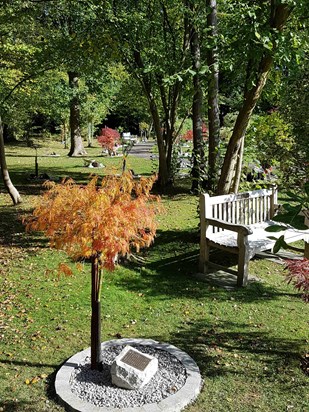Pam's completed memorial garden.