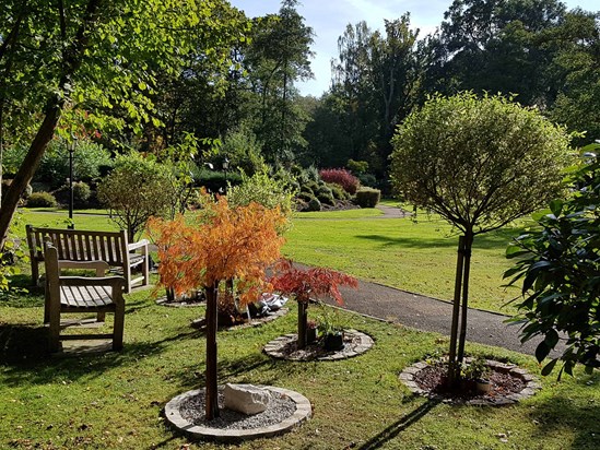 The setting of Pamel's memorial garden