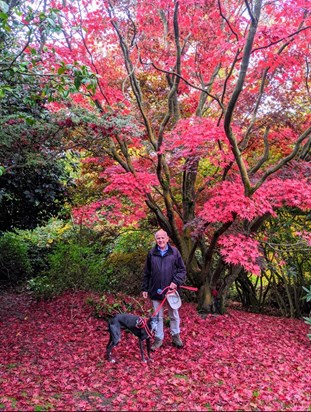 Virginia Waters, Savill Garden