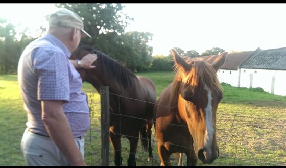 Friendly horses in Sunningdale 