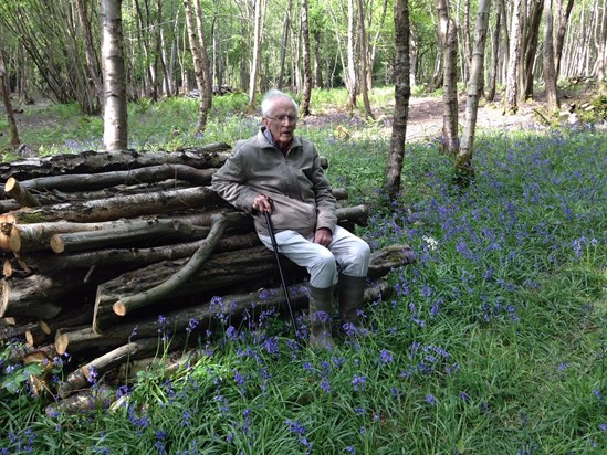 Dad loved walking in the woods at North Frith, most especially at 'bluebell time'. This was  2015.