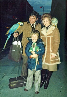 We always had to find a bird or monkey when out and about the big city .xx