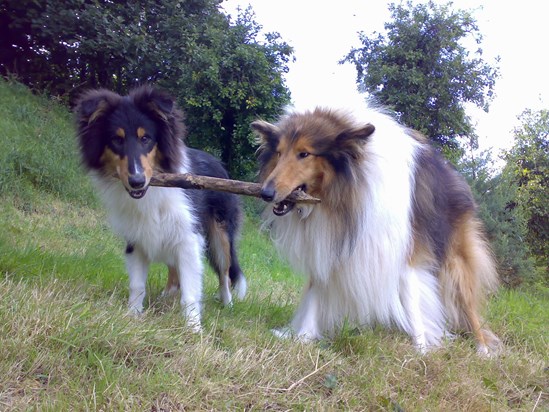 Otto and Ahren (and stick!)
