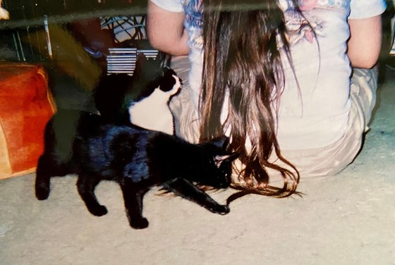 Jef, cats, hair.