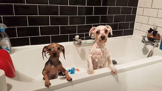 He had bath times with his little sister 