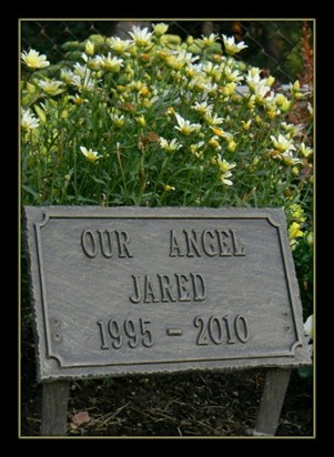 In Loving Memory of our Angel Jared..