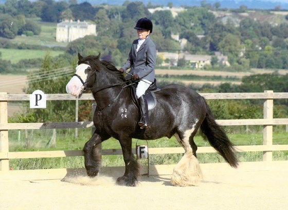 Roseanne riding Omar at a show