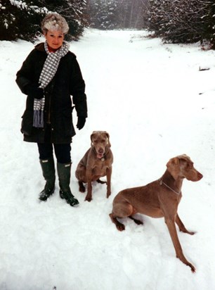 Carol, Fudge and Meisha - we all loved the snow but the excitement tired the girls a lot.