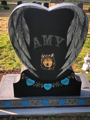 Amy's Memorial Stone