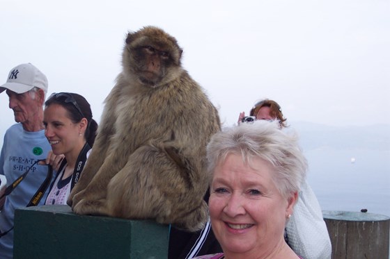 Posong with the monkeys, Gibraltar