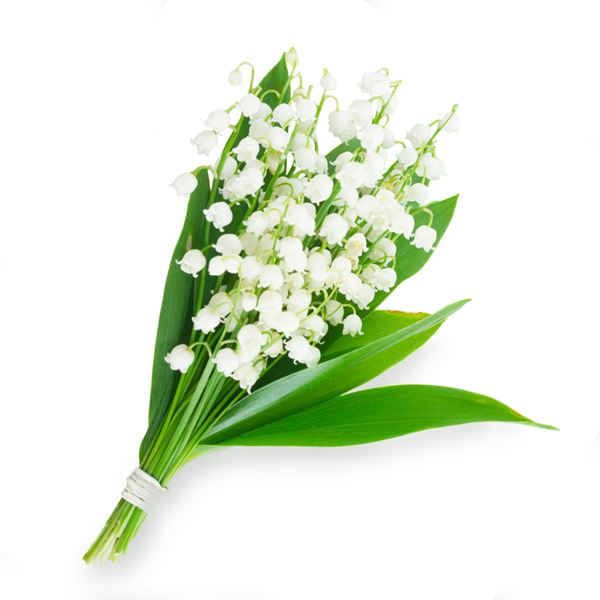 LILY OF THE VALLEY - sent on 7th July 2020