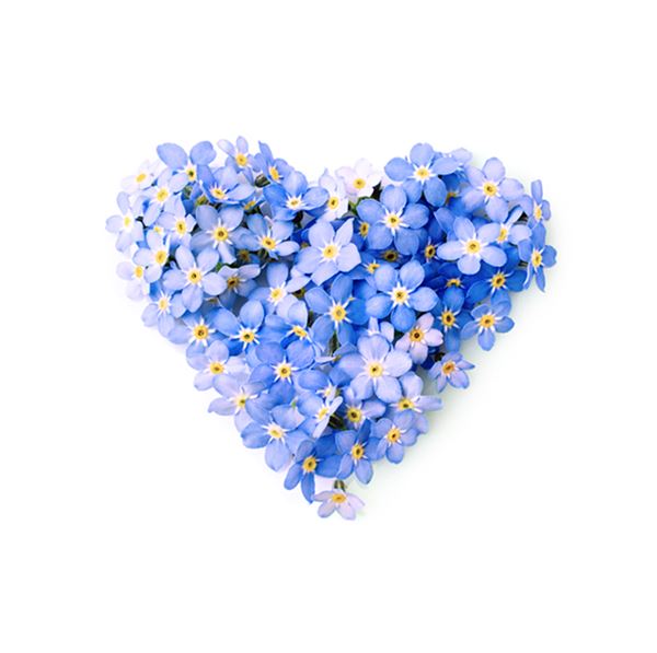 FORGET-ME-NOT HEART - sent on May 24th, 2023