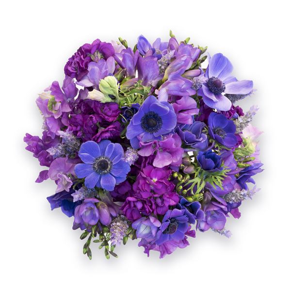 ANEMONE POSY - sent on 22nd October 2020