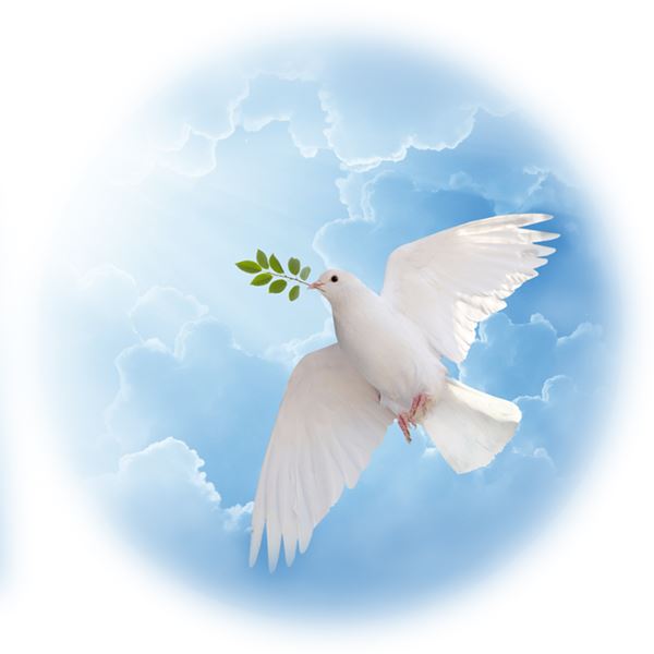 DOVE OF HOPE - sent on 25th March 2020