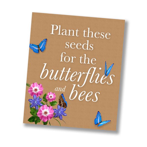 PLANT THESE SEEDS - sent on 22nd March 2021