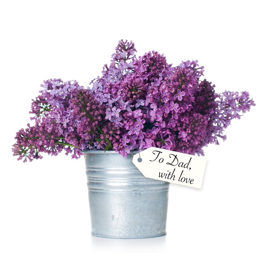 LILACS FOR DAD