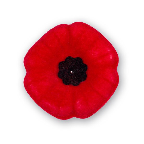 REMEMBRANCE POPPY - sent on 30th October 2020